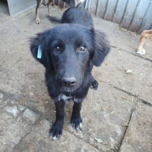 NURIA - reserviert MD 1.1.24