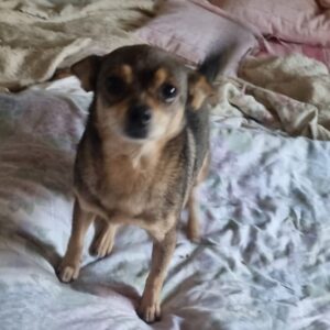 IVY (*Aluna) - RBB 06/24