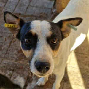 EDWARD - auf PDR PS im PLZ Bezirk 53 - vermittelt