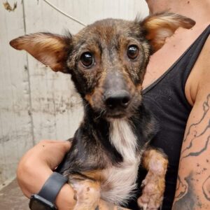 MINA (♀) - ausgereist zum TH Filderstadt