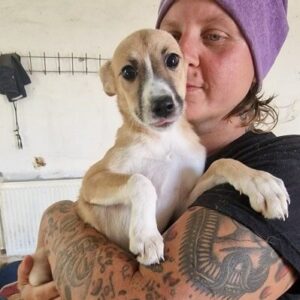 SACHI - ausgereist zur Tierhilfe Lebenswert