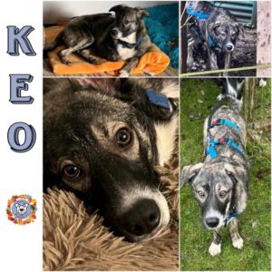 KEO in 92637 Weiden - vermittelt