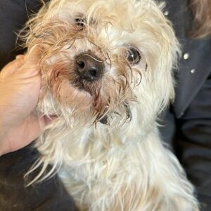 FERNA - vermittelt Anna