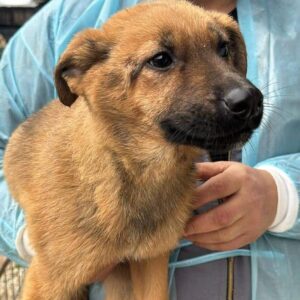 MABINI (♀) - vermittelt JW