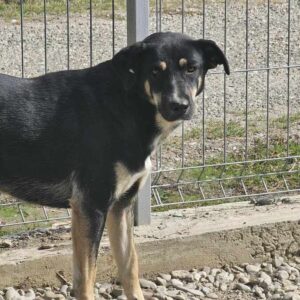 SANDRINE (♀) - Mobbingopfer