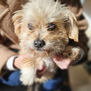 MALIN (♀) - auf PS im PLZ Bereich 18 - vermittelt