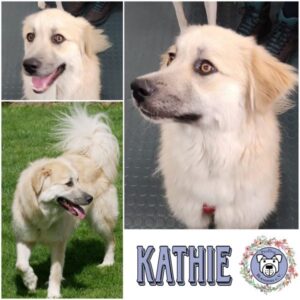 KATHIE (♀) in 21493 Möhnsen - vermittelt