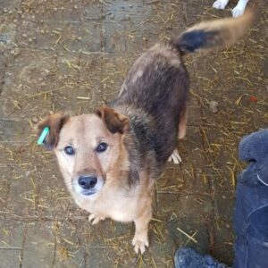 AITANA - vermisst 05/2021