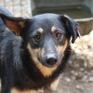 AMITA - vermisst 08/21