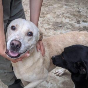 APOLO - hat Interessenten NadineH - vermittelt