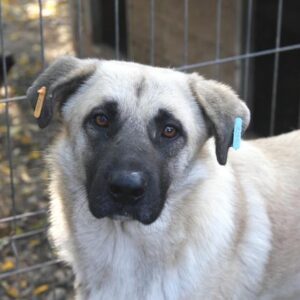 ARPAN - reserviert Manuela - vermittelt