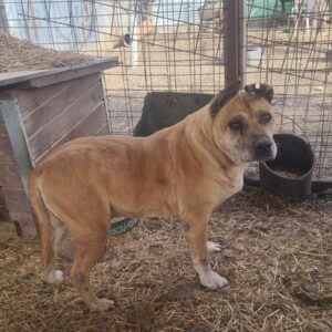 AARTON - RBB 11.07.2022