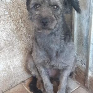 BECCA - reserviert TH Koblenz - vermittelt