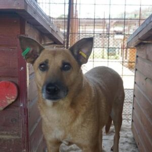 CAMPARI - vermisst 08/21