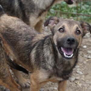 CARO - vermisst 08/21