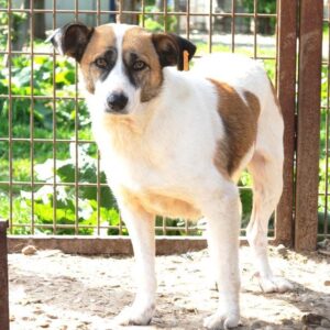 CHERIE - vermisst 03/23