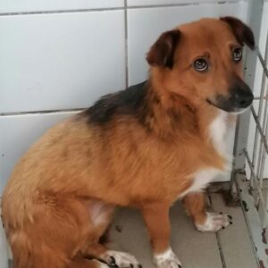 CHIPOTLE - reserviert Anna - vermittelt