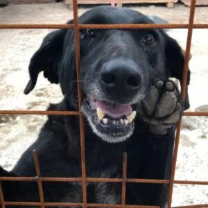 CHRISTO – vor Ort vermittelt