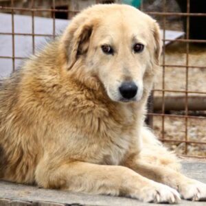 CORALI - vermisst 11/24