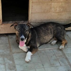 DERIA - vermisst 01/2021