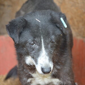 SARA reserviert NadineH (10/09) vermittelt