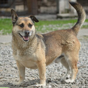 MICK JAGGER - RBB 06/23