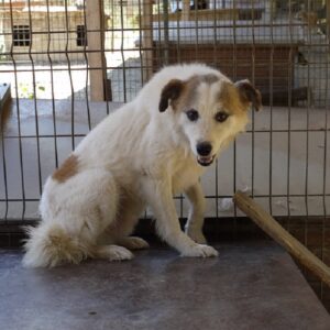 DUPLO - vermisst 08/21