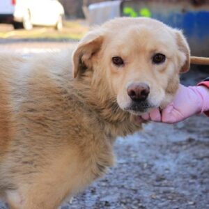 EGON - reserviert Anna - vermittelt