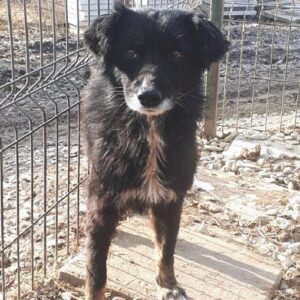 ELODIE reserviert NadineH - vermisst 08/21