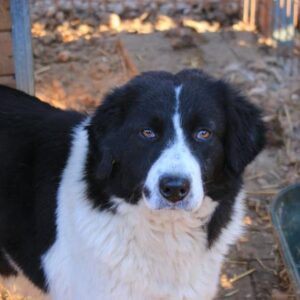 ELSA - auf PDR PS im PLZ Bezirk 99