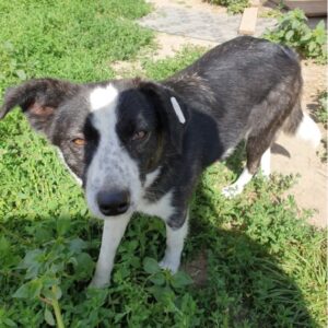 ENOJA - vermisst 11/2022