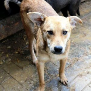 ERIC - vermisst 04/2023