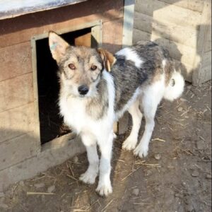 ERIKA - vermisst 08/21