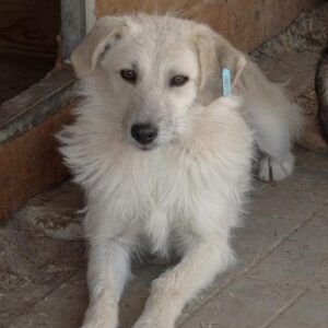 FILO - vermisst 11/24