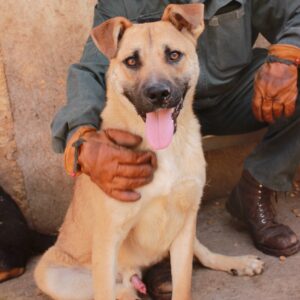 FLIPP - reserviert TH Verlorenwasser - vermittelt