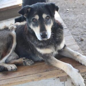 FREDRIKSSON - vermisst 05/2021