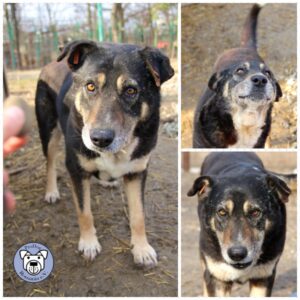 GEORGI - vermisst 11/2021