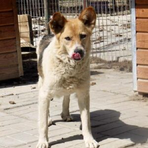 GIORGIO - vermisst 12/22