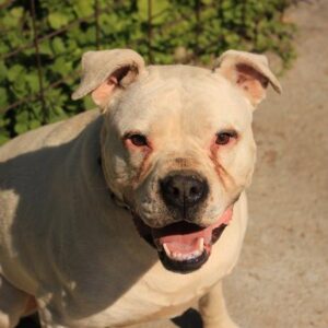 HERA - reserviert TH Koblenz - vermittelt