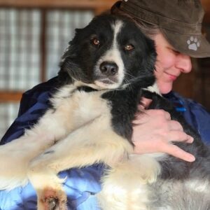 ANUSCHKA (♀) - vermittelt Betty