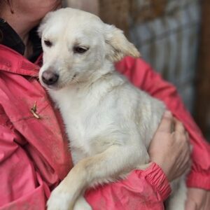 MALIN (♀) - ausgereist zum TST Rösrath