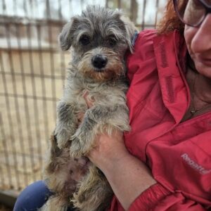 TABEA (♀) - vermittelt MD