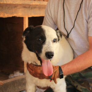 BUMMEL - reserviert TH Koblenz - vermittelt