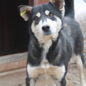 MASCHA - vermisst 11/24