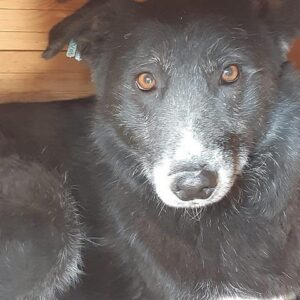 JACK - vermisst 11/24