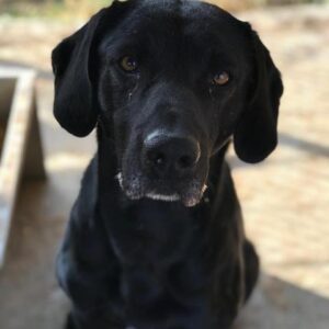 JAKOMO - reserviert NiWi - vermittelt