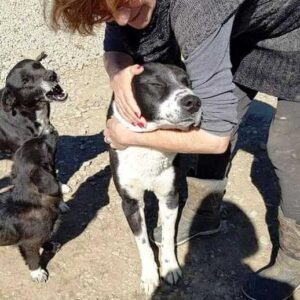 JAROMIR (♂) - seit mindestens 2019 im Shelter