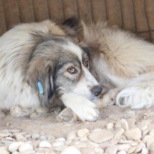 JONNA - reserviert Manuela - vermittelt