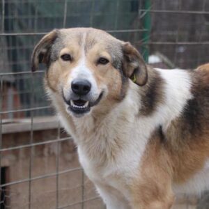 JONO - vermisst 05/2023