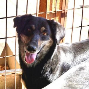 JOSI - vermisst 08/21